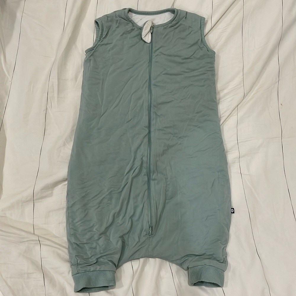 Kyte Baby Sleep Bag Walker